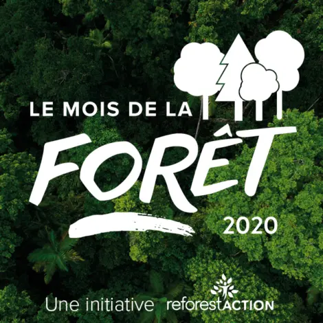 Le mois de la forêt