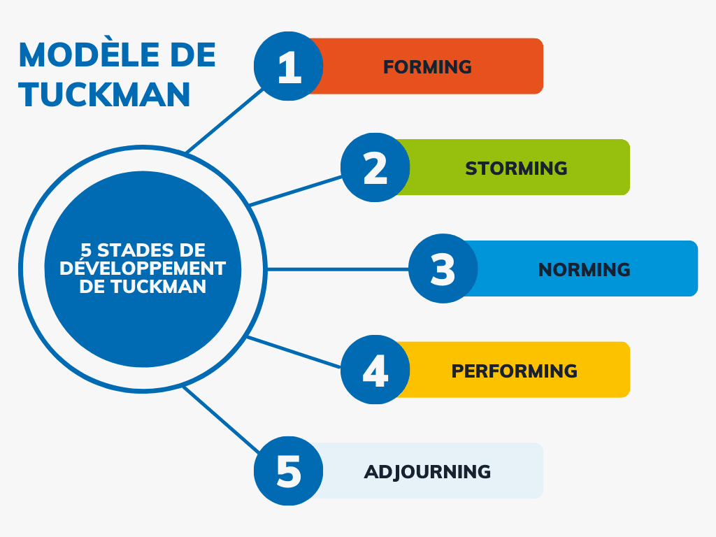 Schéma du modèle de tuckman et des 5 étapes du développement d’équipe