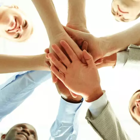 En management : assurer la performance du collectif  icon