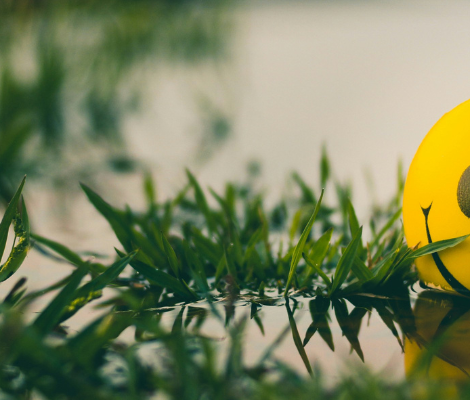 Les 5 principes clés du management positif